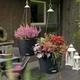 Розумний вазон Lechuza NIDO Cottage круглий 28 см граніт (15193) - изображение 6