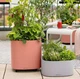 Розумний вазон Lechuza PILA Color Planter овальний 35 см бежевий (15907) - зображення 5