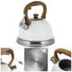 Чайник со свистком Ofenbach KM-100305 2.7 л - изображение 1