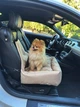 Автокресло автогамак лежак со съемным чехлом для собак и кошек 50х50 см Incor Бежевый (Б-52) - изображение 2