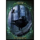 Карты Оракул Знакомых ведьм - Witches' Familiars Oracle Cards - изображение 3