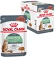 Упаковка вологого корму для дорослих кішок Royal Canin Digestive Care 12 х 85 г (9003579309568) - зображення 2