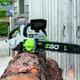 Пила цепная аккумуляторная EGO CS1800E (без аккумуляторов и зарядного устройства) - изображение 4