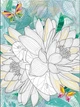 COLOR ZEN. Ловець снів (9789669828156) - зображення 2