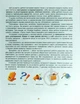 Підготовка руки до письма. Дрібна моторика - Научитель О. Д. (9789669392640) - зображення 5