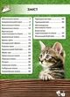 Світ навколо нас. Кішки - Тамара Протасовицька (9789669367501) - изображение 3