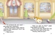 Малюк Коргі. Книжка-білінгва | Little Corgi - Наталья Стукман (9789669358943) - изображение 4