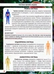 Світ навколо нас. Тіло людини - Дмитро Турбаніст (9789669871688) - изображение 5