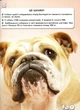 Світ навколо нас. Собаки - Тамара Протасовицька (9789669367488) - изображение 7