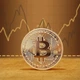 монета BTC Биткоин Bitcoin в капсуле gold - изображение 5