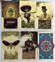 Карты Таро Святой Смерти (Санта Муэрте) / Santa Muerte Tarot (2063) - изображение 5