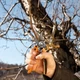 Секатор Fiskars PB-8 M професійний обвідний (1020204) - зображення 2