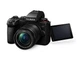 Фотоаппарат Panasonic Lumix G9 II + 12-60mm f/3.5-5.6 Kit (DC-G9M2MEE) - изображение 4