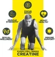 Креатин гидрохлорид Con-Cret Patented Creatine HCl, 61.4 g (Pineapple) - изображение 4