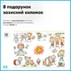 Комплект парта детская и растущее кресло Evo-kids BD-22 BL Голубой - изображение 5