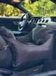 Автокрісло автогамак лежак сумка-переноска для собак та котів з 52х52 см Incor Чорний (І-154) - зображення 2