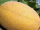 Семена Дыня Серебряный Ананас, 20 шт (Солнечный март) - изображение 2