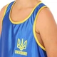 Форма для бокса детская боксерская форма Zelart Ukraine 8941 размер S (125-135см) Blue-Yellow - изображение 4