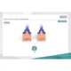 Патч-корд 10м, CAT 6 UTP, AWG 26/7, Cu, LSZH, blue Digitus (DK-1617-100/B) - изображение 4