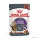 Влажный корм Royal Canin Appetite Control CIG для стерилизованных кошек склонных к выпрашиванию корма 84шт*85г - изображение 1