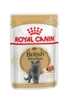 Вологий корм Royal Canin British Shorthair Adult для котів породи британська короткошерста 84шт*85г - зображення 1