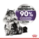 Влажный корм Royal Canin Appetite Control CIG для стерилизованных кошек склонных к выпрашиванию корма 84шт*85г - изображение 3