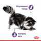 Влажный корм Royal Canin Appetite Control CIG для стерилизованных кошек склонных к выпрашиванию корма 84шт*85г - изображение 4