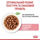 Влажный корм Royal Canin Kitten Sterilised для стерилизованных котят от 6 до 12 месяцев 84шт*85г - изображение 4