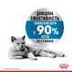 Влажный корм Royal Canin Light Weight Care для кошек склонных к лишнему весу 84шт*85г - изображение 2