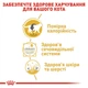 Вологий корм Royal Canin British Shorthair Adult для котів породи британська короткошерста 84шт*85г - зображення 7