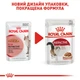 Вологий корм Royal Canin Instinctive In Gravy для котів старше 1 року 84шт*85г - зображення 2