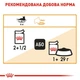 Вологий корм Royal Canin Intense Beauty In Gravy для котів 84шт*85г - зображення 6