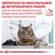 Сухой корм Royal Canin Hypoallergenic для взрослых котов при пищевой аллергии 3уп*2,5кг - изображение 8