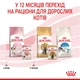 Вологий корм Royal Canin Kitten in Jelly для кошенят до 12 місяців 84шт*85г - зображення 7
