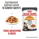 Вологий корм для котів Royal Canin Hair & Skin Care Jelly pouch 9+3 шт х 85 г - зображення 2