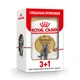 Упаковка вологого корму для котів Royal Canin British Shorthair Adult Gravy pouch 3+1 шт х 85 г - изображение 1