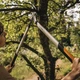 Сучкоріз Fiskars PowerGearX LX98 (L) обвідний (1020188) - зображення 3