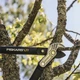 Сучкорез Fiskars PowerGear (L) L77 с наковальней (1000583) - изображение 3
