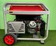 Бензиновий генератор мідний Edon PT-11000 - зображення 2