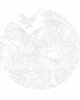 Картина по номерам Кргулая с Металлизированными красками Ø 40 см Create Me Колибри в подсолнухах (CMGM-0645К) - изображение 3