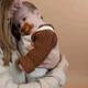 Пустышка силиконовая Difrax Natural Uni 0-6 месяцев Карамельная (UN123 Cinnamon) - изображение 2