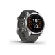 Смарт-часы Garmin fenix 7S Pro Solar, Glass, SS w/Graphite band, GPS (010-02776-01) - изображение 1