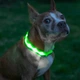 Ошейник с подсветкой для собак UFT Pet Led 2 S с аккумулятором Green (4820176282408) - изображение 3