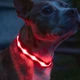 Ошейник с подсветкой для собак UFT Pet Led 2 L с аккумулятором Red (4820176282453) - изображение 3