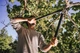 Великий контактний гілкоріз Fiskars PowerGear (1000583) - зображення 4