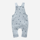 Напівкомбінезон дитячий Pinokio Charlie Dungarees 62 см Blue (5901033293016) - зображення 1