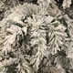 Новорічна штучна сосна лита Black Box Trees Dinsmore Frosted 45 см Зелена 8718861289060 - изображение 3
