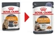 Влажный корм для взрослых кошек Royal Canin HAIR&SKIN IN JELLY (Желе) поддержание здоровья кожи и шерсти 85 г (9003579311721) - изображение 2