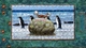 Игра Pixel Puzzles 2: Birds для ПК (Ключ активации Steam) - изображение 6