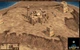 Игра Cossacks: Back to War для ПК (Ключ активации Steam) - изображение 3
